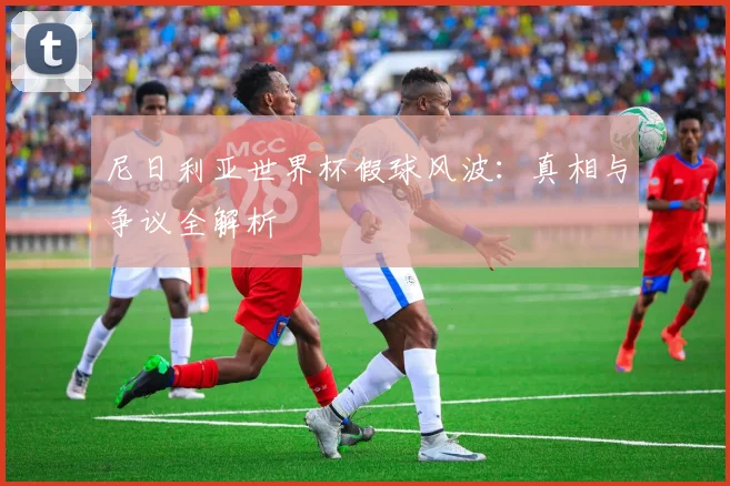 尼日利亚世界杯假球风波：真相与争议全解析